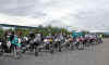 The Lineup.jpg (122040 bytes)